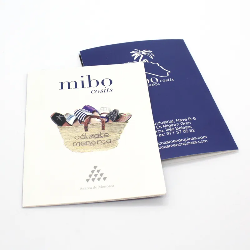 DIPTICO-DESPLEGABLE-LIBRO