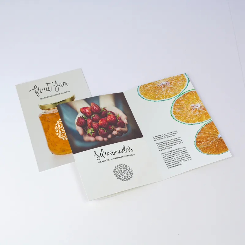 DIPTICO-OFFSET-ALIMENTACIÓN