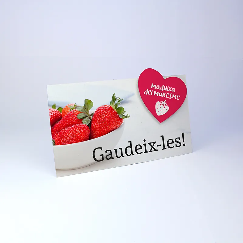 DISPLAY-ALIMENTACIÓN-POP-UP-1