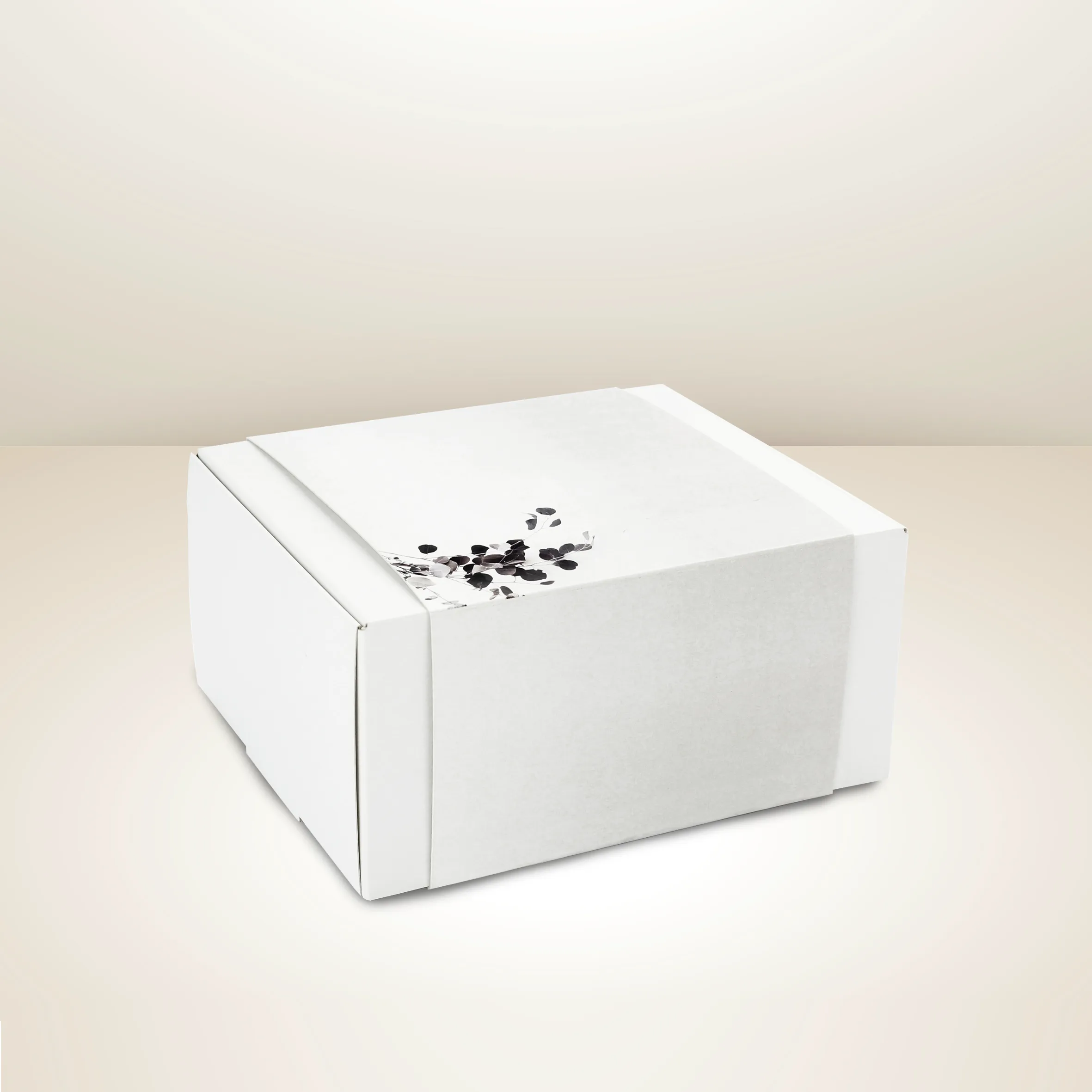 brintel_estuche-con-funda_dentistas_pharma